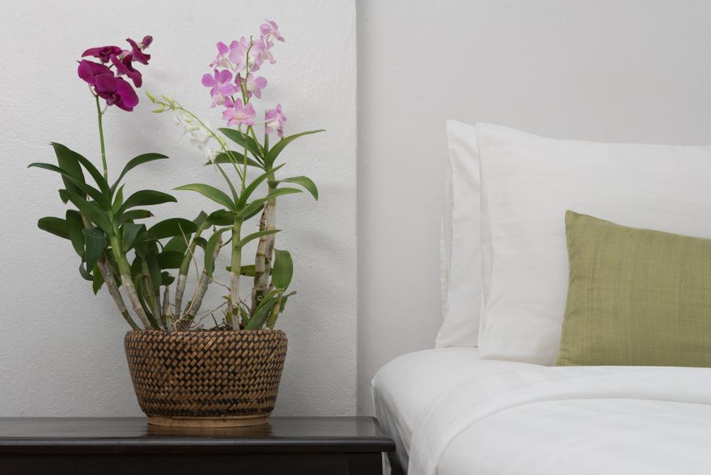 Maison Dalabua Luang Prabang Esterno foto
